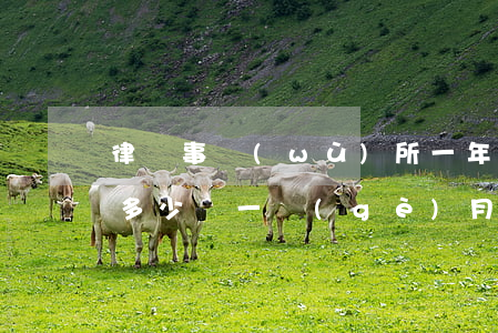律師事務(wù)所一年能賺多少錢(律師賺多少錢一個(gè)月)