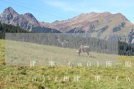 律師事務(wù)所一般下午幾點(diǎn)上班(律師事務(wù)所上班時(shí)間法院上班時(shí)間)