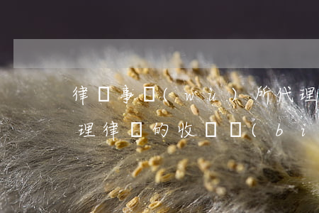 律師事務(wù)所代理費怎么給律師(請代理律師的收費標(biāo)準(zhǔn)是多少)