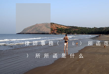 律師事務(wù)所函范文(律師事務(wù)所所函是什么)