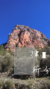 律師事務(wù)所分所(律師事務(wù)所分所是獨立法人嗎)