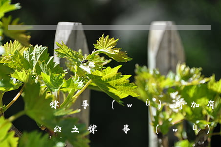 律師事務(wù)所加有限公司是什么意思(公立律師事務(wù)所什么意思)