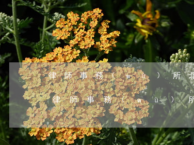 律師事務(wù)所北京市豐臺區(qū)(律師事務(wù)所北京市豐臺區(qū))