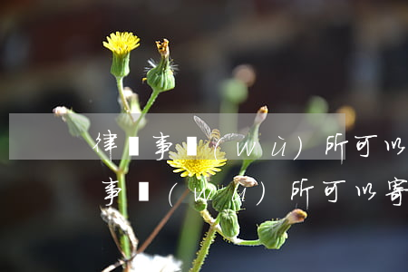 律師事務(wù)所可以寄法院傳票嗎(律師事務(wù)所可以寄法院傳票嗎)