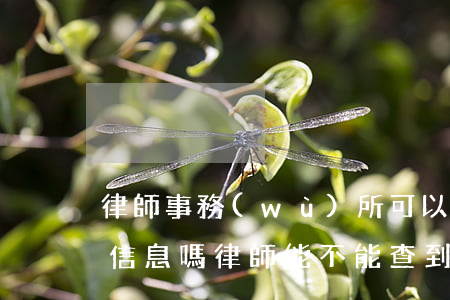 律師事務(wù)所可以查詢個(gè)人信息嗎(律師能不能查到個(gè)人信息)