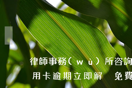 律師事務(wù)所咨詢免費(fèi)信用卡逾期，立即解決！免費(fèi)律師咨詢服務(wù)，幫助處理信用卡逾期問題