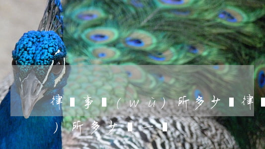 律師事務(wù)所多少錢(律師事務(wù)所多少錢一個)