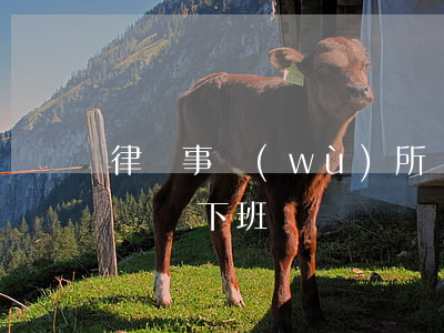 律師事務(wù)所幾點下班(律師幾點上班幾點下班?)