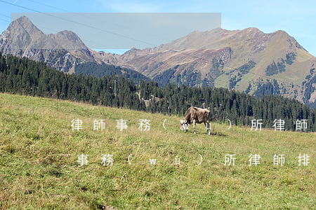 律師事務(wù)所律師排名(南京大成律師事務(wù)所律師排名)