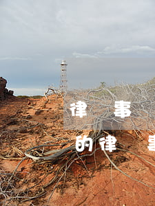律師事務(wù)所怎么找律師(怎么找靠譜的律師事務(wù)所)