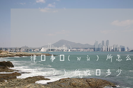 律師事務(wù)所怎么收費標準(律師事務(wù)所收費多少)