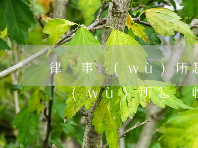 律師事務(wù)所怎樣收律師費用(律師事務(wù)所怎樣收律師費用)
