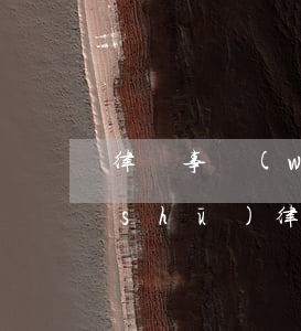 律師事務(wù)所投標(biāo)書(shū)(律師事務(wù)所投標(biāo)書(shū) 內(nèi)容摘要)