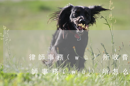 律師事務(wù)所收費(fèi)多少(律師事務(wù)所怎么收費(fèi)的)
