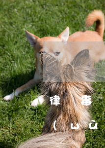 律師事務(wù)所是怎樣收費的(律師事務(wù)咨詢所收費標(biāo)準(zhǔn))