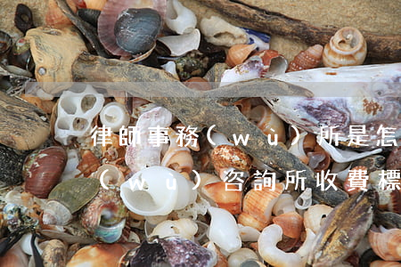 律師事務(wù)所是怎樣收費的(律師事務(wù)咨詢所收費標準)