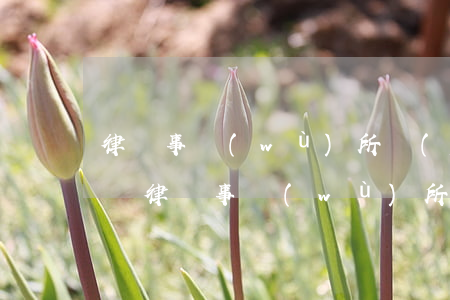 律師事務(wù)所發(fā)的短信可靠嗎(律師事務(wù)所發(fā)的短信可靠嗎)