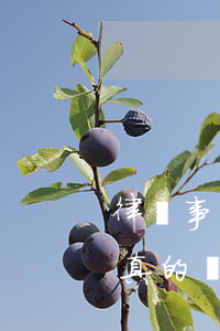 律師事務(wù)所發(fā)的通知函是真的嗎(收到律師所的通知函)