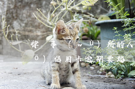 律師事務(wù)所的人打電話說(shuō)信用卡逾期要起訴（律師協(xié)商信用卡逾期）