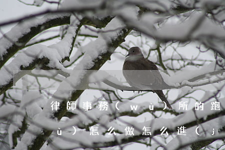 律師事務(wù)所的跑業(yè)務(wù)怎么做(怎么進(jìn)律師事務(wù)所工作)