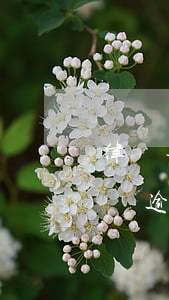 律師事務(wù)所能解決網(wǎng)貸逾期問(wèn)題嗎-律師事務(wù)所能解決網(wǎng)貸逾期問(wèn)題嗎知乎