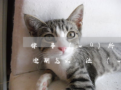 律師事務(wù)所處理信用卡延期（信用卡逾期怎么給法務(wù)部說延長）