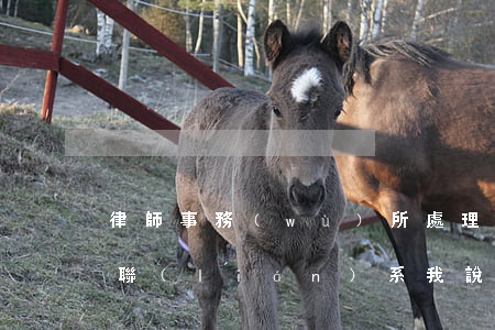律師事務(wù)所處理信用卡逾期(有律師聯(lián)系我說(shuō)信用卡逾期起訴了)