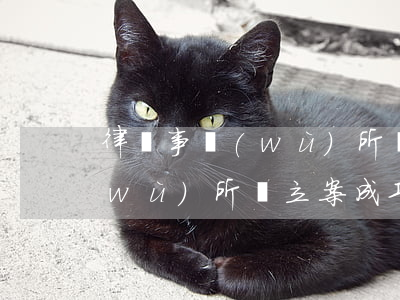 律師事務(wù)所說通過立案(律師事務(wù)所說立案成功)