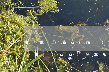 律師事務(wù)所費(fèi)用多少(律師事務(wù)所怎么收費(fèi))