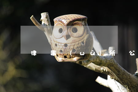 律師事務(wù)所辦公軟件(律師常用軟件)