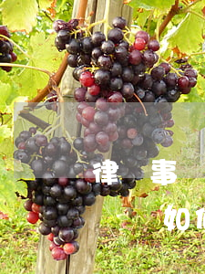 律師事務(wù)所辦理房產(chǎn)遺囑如何收費(fèi)(律師寫遺囑費(fèi)用)