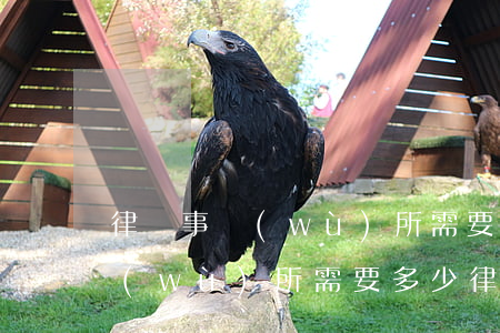 律師事務(wù)所需要多少律師(律師事務(wù)所需要多少律師)