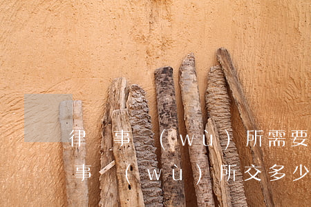 律師事務(wù)所需要多少錢(律師給律師事務(wù)所交多少錢)