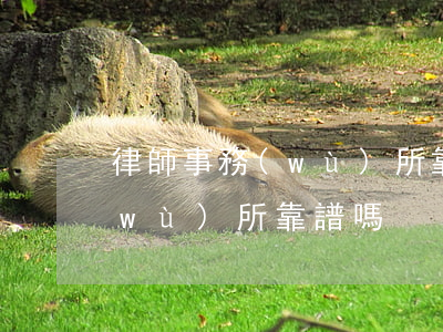 律師事務(wù)所靠譜嗎(曠真律師事務(wù)所靠譜嗎)