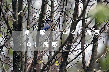 律師事務(wù)所面試(德恒律師事務(wù)所面試)