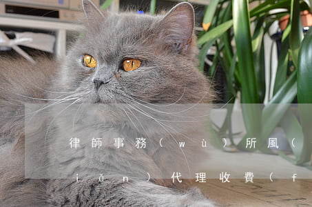 律師事務(wù)所風(fēng)險(xiǎn)代理收費(fèi)標(biāo)準(zhǔn)(律師代理費(fèi)的收費(fèi)標(biāo)準(zhǔn))