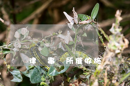 律師事務所催收施壓話術(法務催收話術)