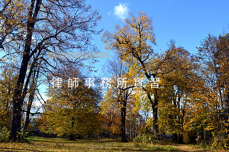 律師事務所實習