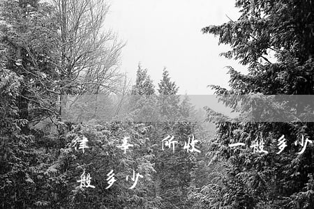 律師事務所收費一般多少(律師事務所收費一般多少)