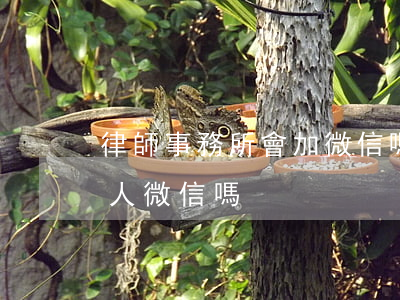 律師事務所會加微信嗎(律師可以加對方當事人微信嗎)