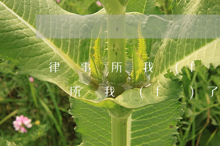 律師事務所給我發(fā)了律師函(律師事務所給我發(fā)了律師函用郵政能查到嘛)