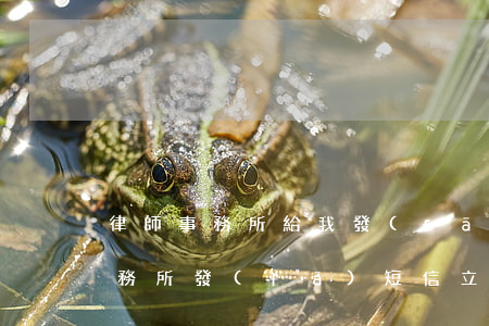 律師事務所給我發(fā)立案通知(律師事務所發(fā)短信立案通知書)