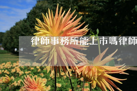 律師事務所能上市嗎(律師事務所能上市嗎?)