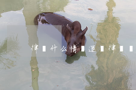 律師什么情況退費(律師費用可以退嗎)