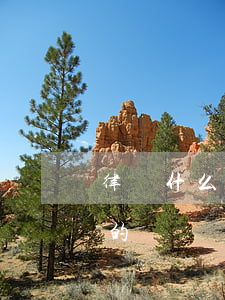律師什么時候開始收費(律師一般收費怎么收的)