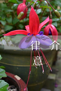 律師介入政府征收補(bǔ)償工作的重要意義