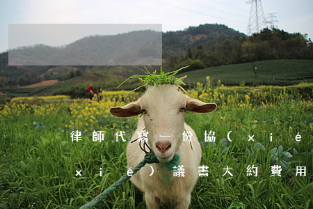 律師代寫一份協(xié)議費用(代寫協(xié)議書大約費用)