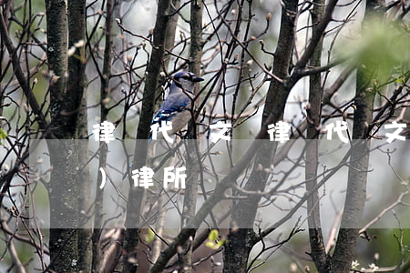 律師代寫文書(律師代寫文書要通過(guò)律所嗎)