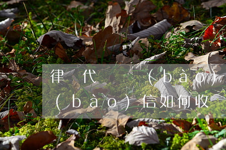 律師代寫舉報(bào)信多少錢(代寫舉報(bào)信如何收費(fèi))