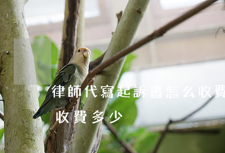 律師代寫起訴書怎么收費的(代寫起訴書律師收費多少)